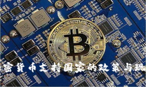 全球加密货币支持国家的政策与现状分析