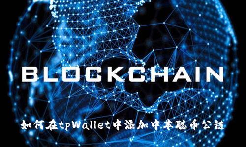 如何在tpWallet中添加中本聪币公链