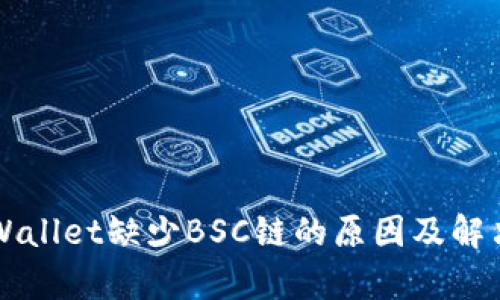 电脑版tpWallet缺少BSC链的原因及解决方案详解