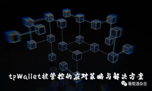 tpWallet被管控的应对策略与解决方案