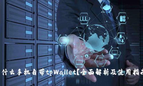  什么手机自带tpWallet？全面解析及使用指南