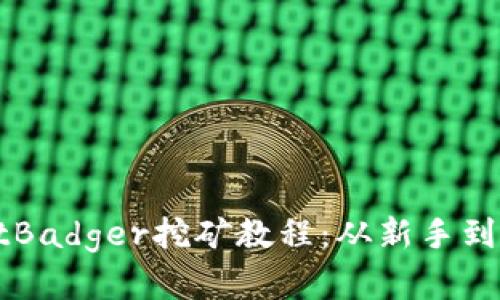 全面解析tpWalletBadger挖矿教程：从新手到高手的全方位指南