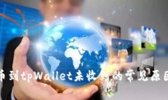 从交易所提币到tpWallet未收到的常见原因及解决方