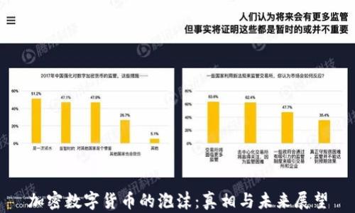
加密数字货币的泡沫：真相与未来展望