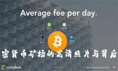 探索加密货币矿场的高清照片与背后的故事