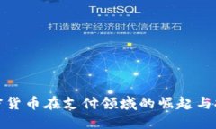 加密货币在支付领域的崛起与挑战