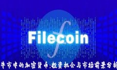 牛市中的加密货币：投资机会与市场前景分析