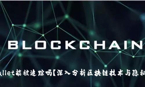 tpWallet能被追踪吗?深入分析区块链技术与隐私保护