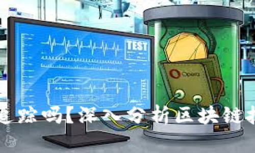 tpWallet能被追踪吗?深入分析区块链技术与隐私保护