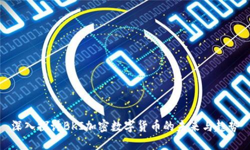 深入探讨BKI加密数字货币的未来与趋势