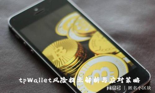 tpWallet风险提示解析与应对策略
