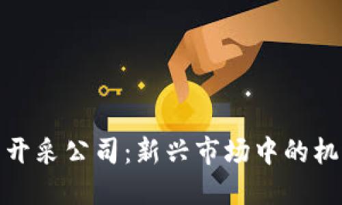 加密货币开采公司：新兴市场中的机遇与挑战