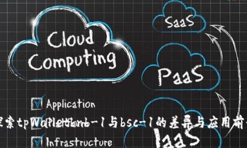 探索tpWalletbnb-1与bsc-1的差异与应用前景