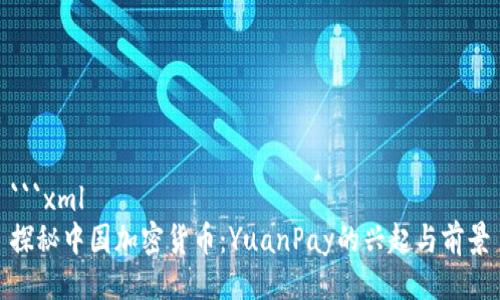 ```xml
探秘中国加密货币：YuanPay的兴起与前景