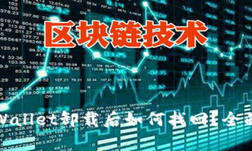 : tpWallet卸载后如何找回?全面指南