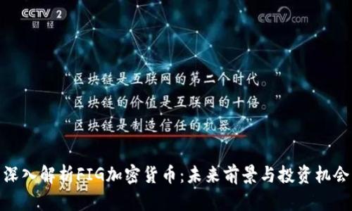 深入解析FIG加密货币：未来前景与投资机会