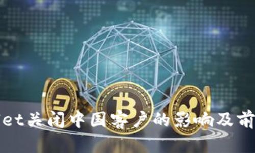 tpWallet关闭中国客户的影响及前景分析