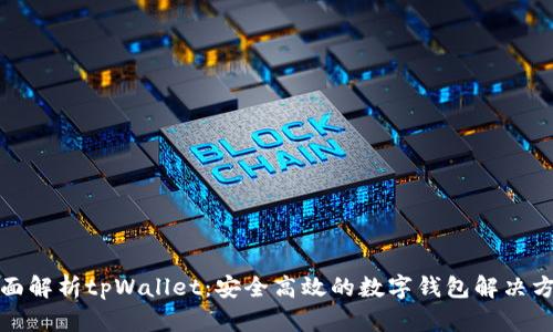 全面解析tpWallet：安全高效的数字钱包解决方案