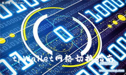 tpWallet网络切换指南