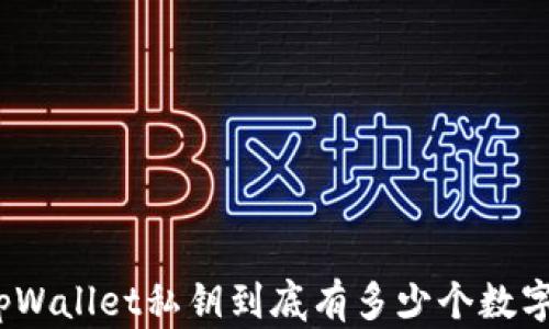 
tpWallet私钥到底有多少个数字？