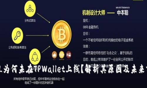 FIL为何未在TPWallet上线？解析其原因及未来前景