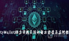 : tpWallet助力词找不到的解决方案与应对措施