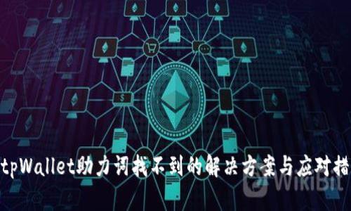 : tpWallet助力词找不到的解决方案与应对措施