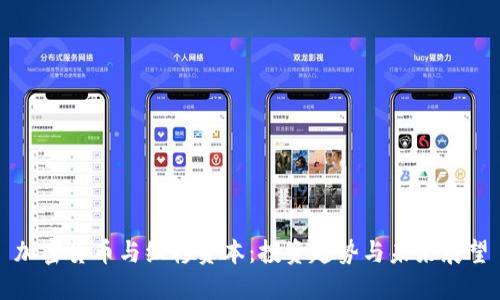 加密货币与红杉资本：投资趋势与未来展望