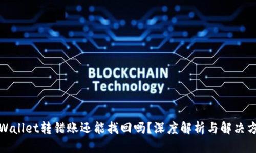 tpWallet转错账还能找回吗？深度解析与解决方案
