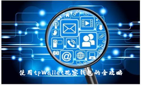 使用tpWallet观察钱包的全攻略