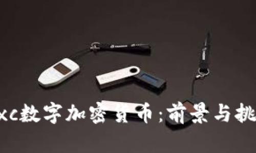 wxc数字加密货币:前景与挑战