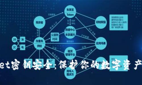 : tpWallet密钥安全：保护你的数字资产不被窥探