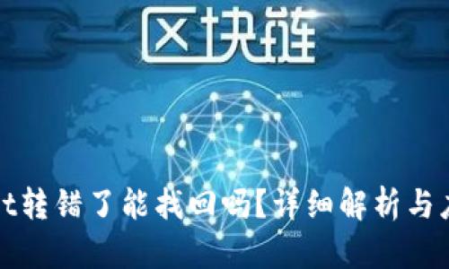 tpWallet转错了能找回吗？详细解析与应对策略