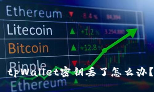  tpWallet密钥丢了怎么办？