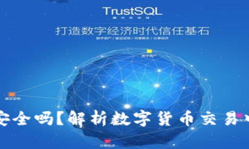 钱包地址给别人安全吗？解析数字货币交易中的隐私与安全性