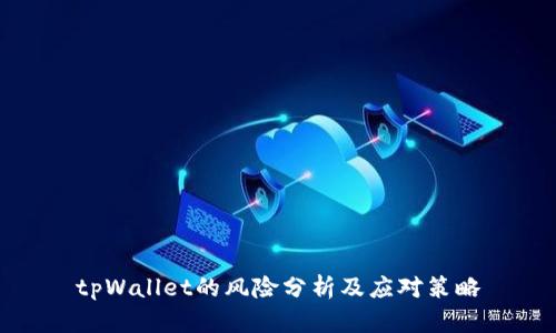 tpWallet的风险分析及应对策略