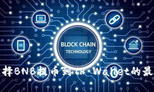 如何选择BNB提币到TP Wallet的最佳网络