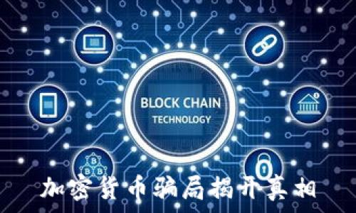   
加密货币骗局揭开真相