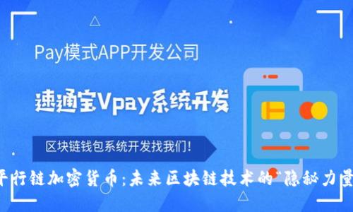 平行链加密货币:未来区块链技术的“隐秘力量”
