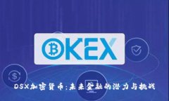 DSX加密货币：未来金融的潜力与挑战