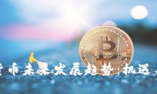 加密货币未来发展趋势:机遇与挑战