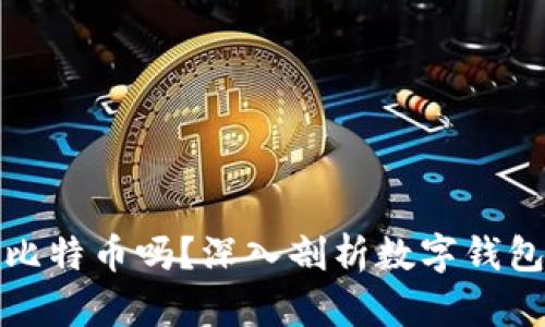 tpWallet会盗取比特币吗?深入剖析数字钱包的安全性与风险