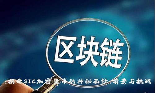 :揭开SIC加密货币的神秘面纱：前景与挑战