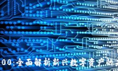  加密货币100：全面解析新兴数字资产的未来与挑