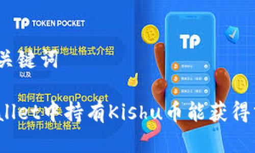 思考和关键词

在tpWallet中持有Kishu币能获得分红吗？