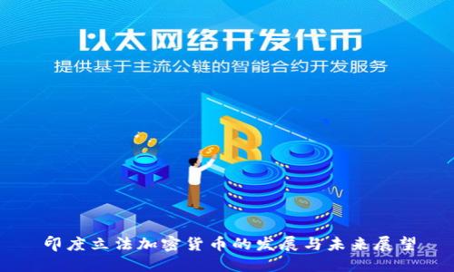 印度立法加密货币的发展与未来展望