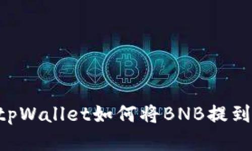 : tpWallet如何将BNB提到HT