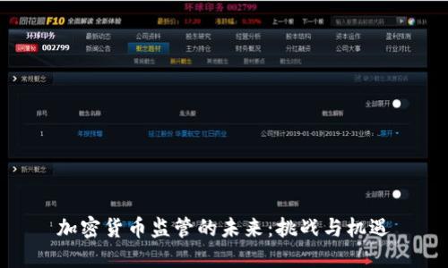 加密货币监管的未来：挑战与机遇