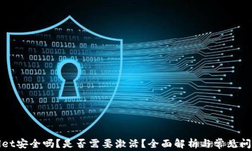 
tpWallet安全吗？是否需要激活？全面解析与常见问题解答