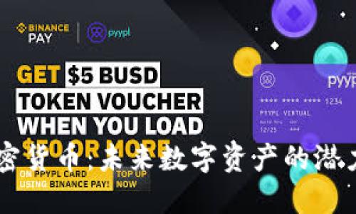 SKY加密货币:未来数字资产的潜力与挑战